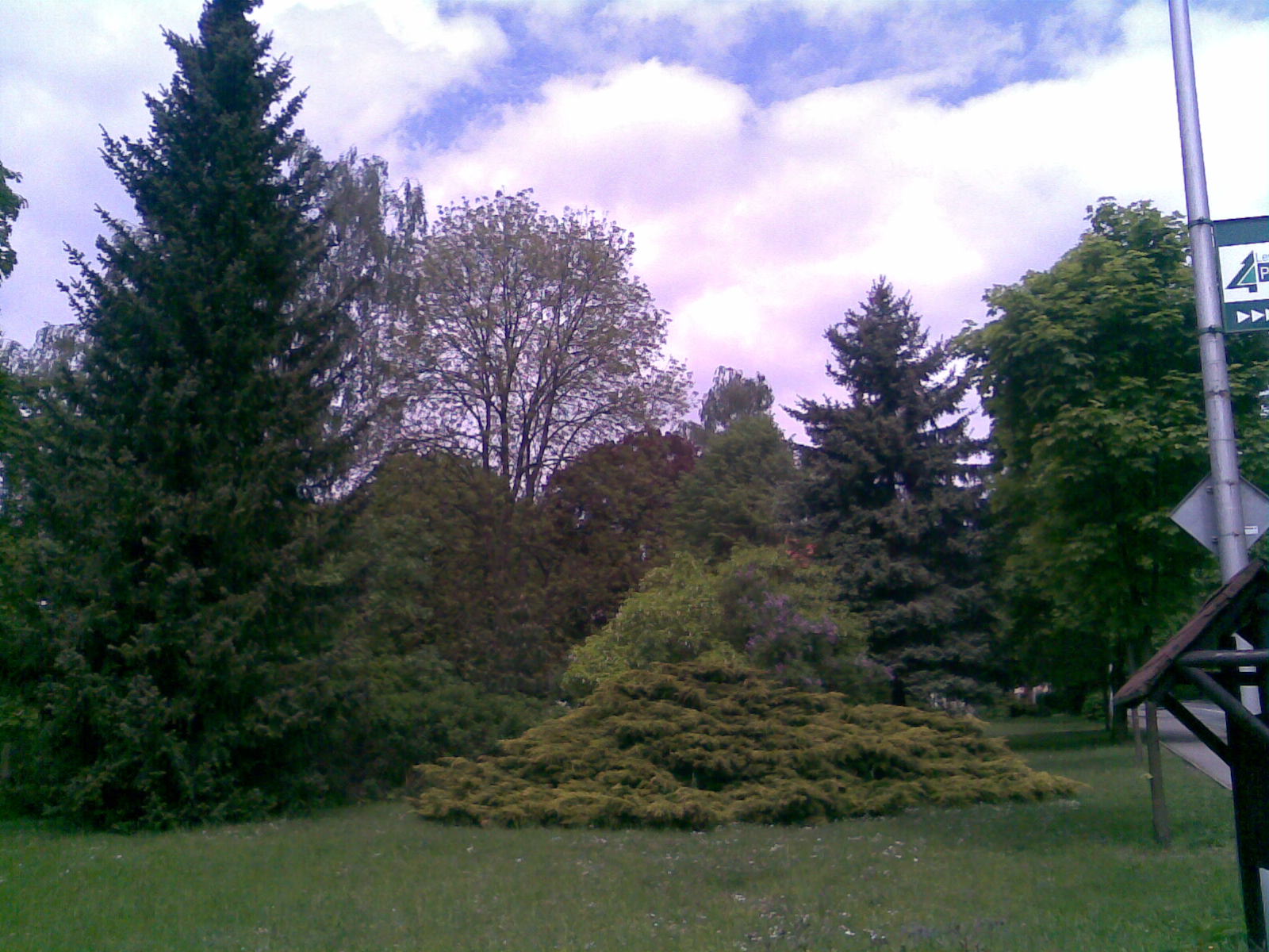 Park.jpg